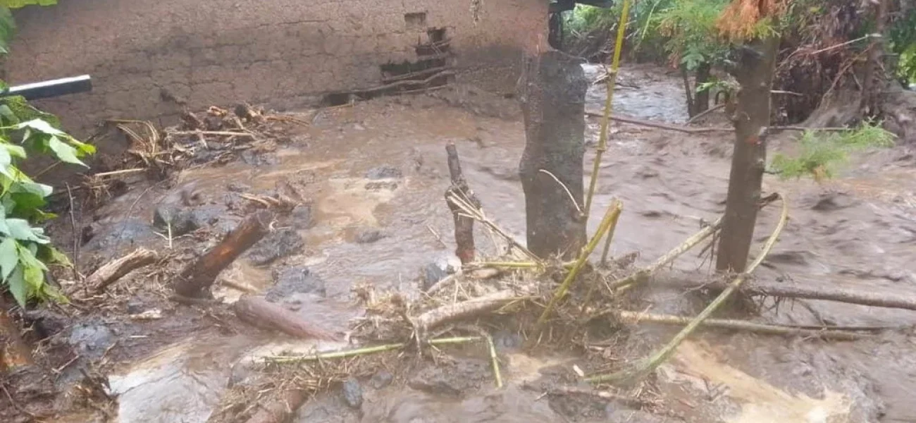Construction of Twenty (20) Water Springs In Nyanza District